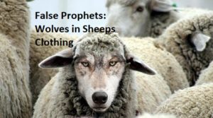 False Spiritual Prophets and Teachers are wolves in sheeps clothing