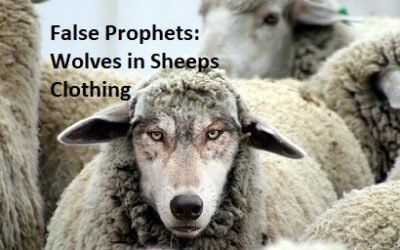 False Prophets: They Said It Would Happen