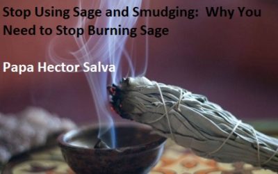 Stop Using Sage Smudging: Why You Shouldn’t Burn Sage