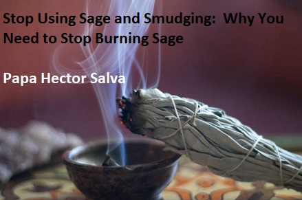 Stop Using Sage Smudging: Why You Shouldn’t Burn Sage